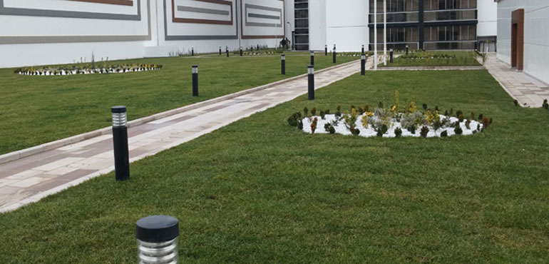 yeşil çatı sistemleri